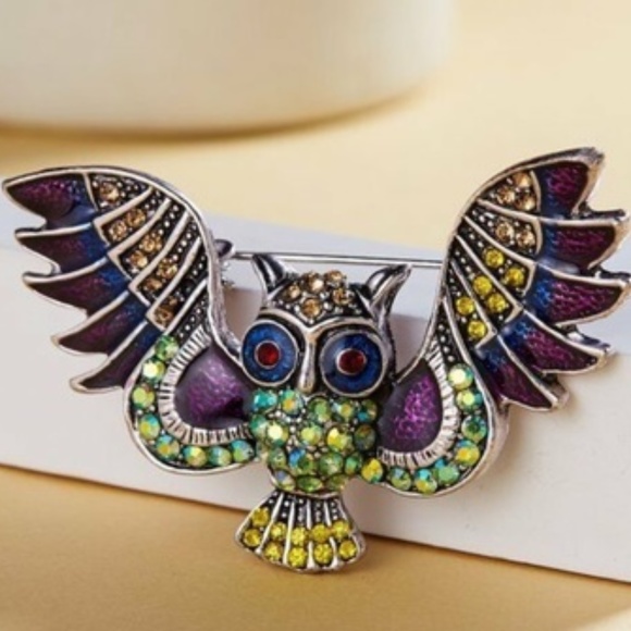 Colorful Owl Brooch - Picture 3 of 5